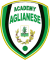 logo Academy Aglianese