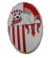 logo Ponte 2000