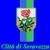 logo Seravezza
